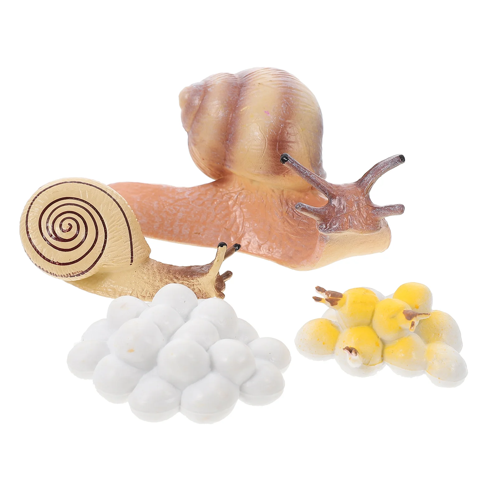 Life Cycle Toys Toy Animal Model Bug Kit Science Figures Figurine Educational Artificial Sets Kits Stem Education Learning
Life Cycle Toys Toy Animal Model Bug Kit Science Figures Figurine Educational Artificial Sets Kits Stem Education Learning