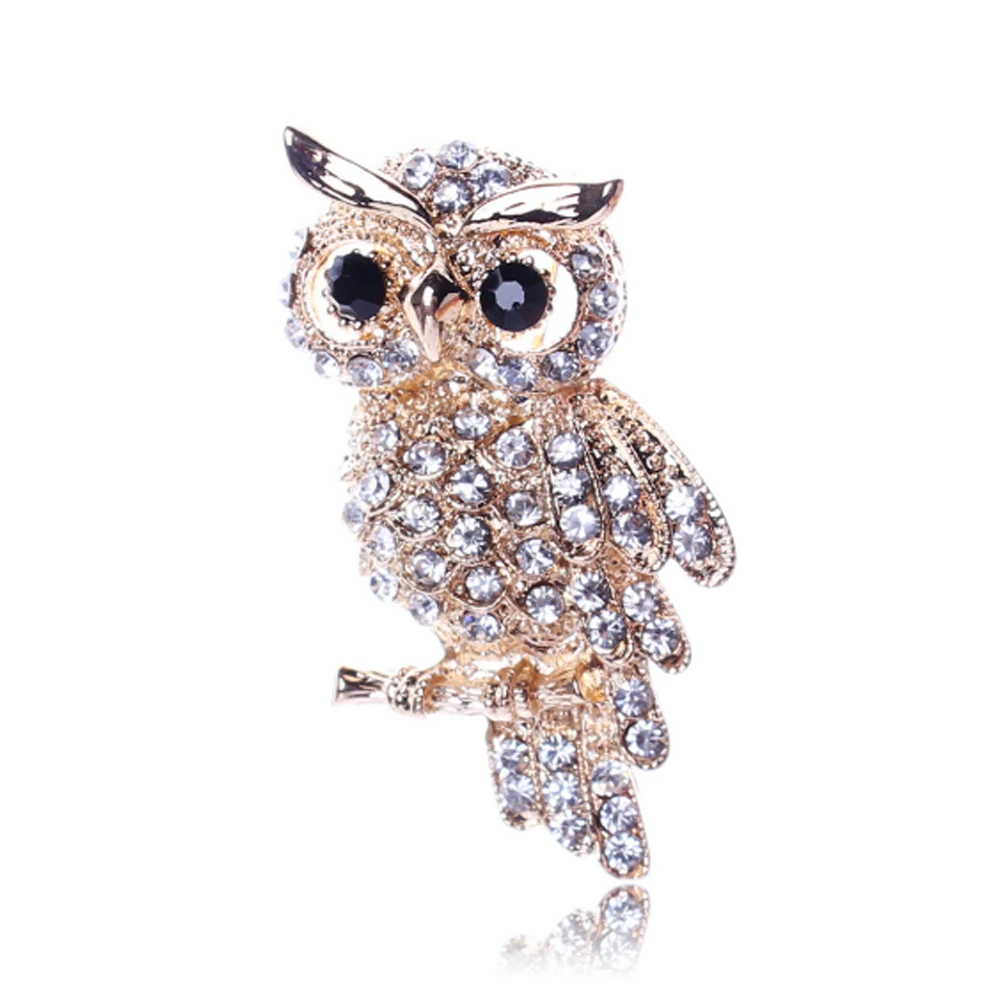 Ancient Women's Men's Owl Korean Trendy Imitation Rhinestone Blue Owl Brooch Badge Christmas Gifts Dress Coat Shirt Accessories
Ancient Women's Men's Owl Korean Trendy Imitation Rhinestone Blue Owl Brooch Badge Christmas Gifts Dress Coat Shirt Accessories