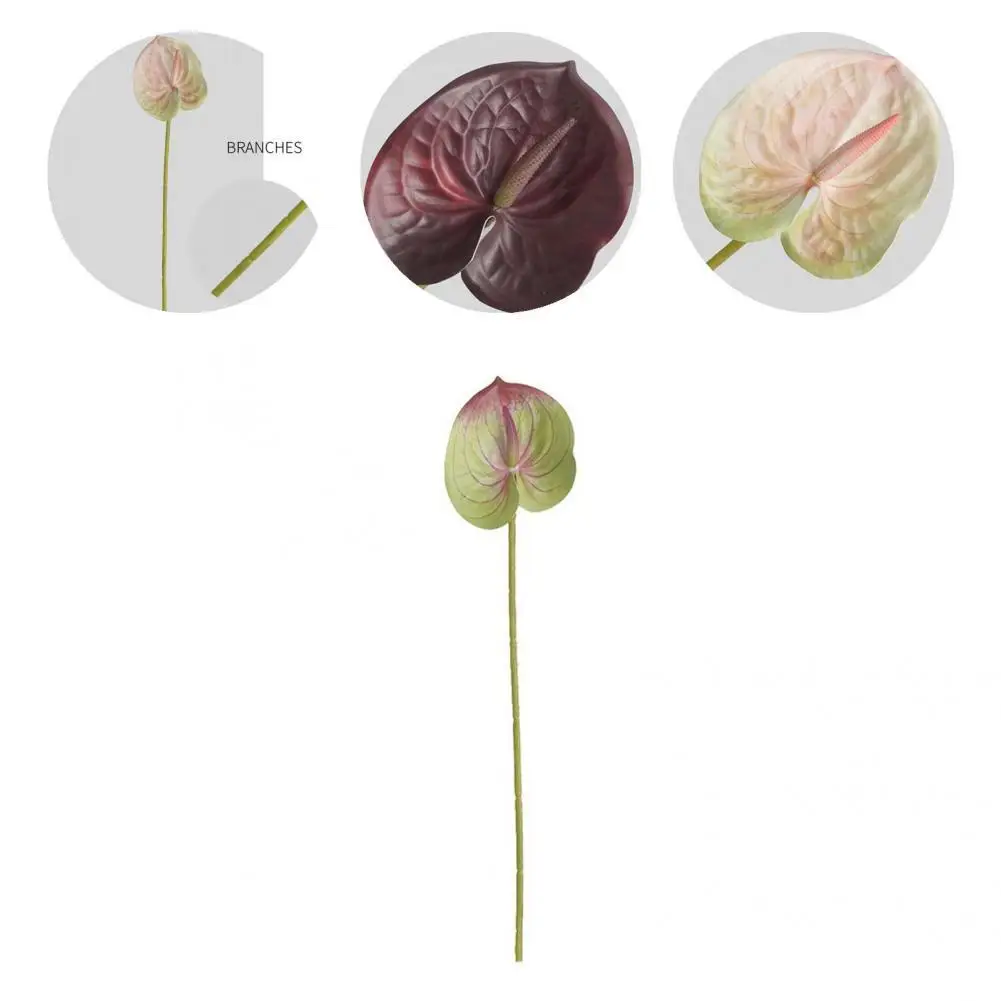 1 Branch Artificial Flower Fancy Colorful Fresh-keeping Photography Props Faux Flower Faux Silk Flower
1 Branch Artificial Flower Fancy Colorful Fresh-keeping Photography Props Faux Flower Faux Silk Flower