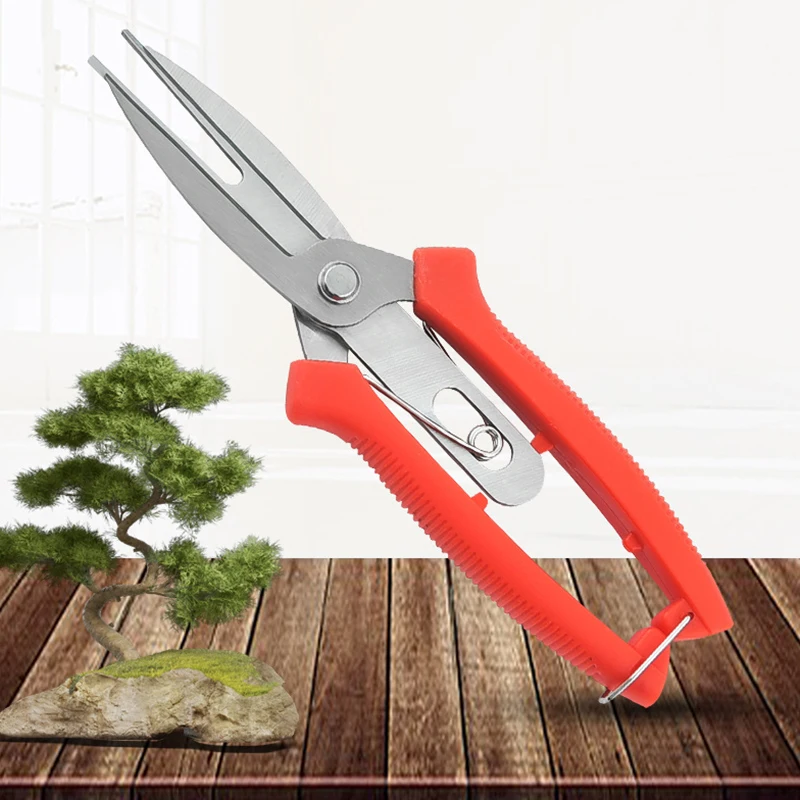 Double-edged Garden Pruning Shears Stainless Steel Pruning Tools Garden Tool Scissors Double Mouth Cutter Fruit Picking Scissors
Double-edged Garden Pruning Shears Stainless Steel Pruning Tools Garden Tool Scissors Double Mouth Cutter Fruit Picking Scissors