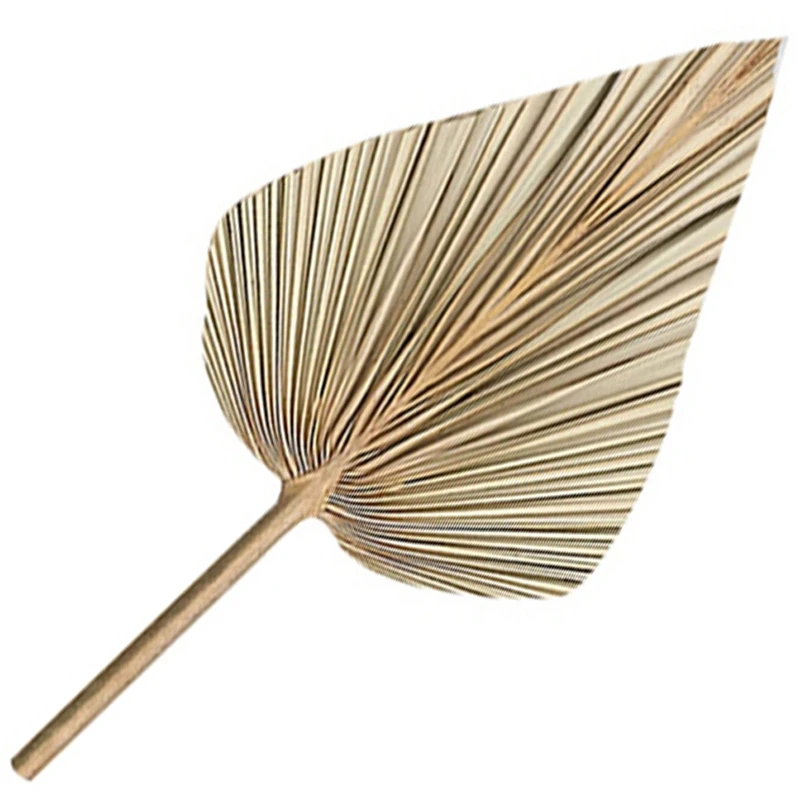 20Pcs Dried Palm Leaves Dried Palm Fans Bohemian Dried Palm Spears Artificial Plants Palm Leaves Tropical Palm Leaves
20Pcs Dried Palm Leaves Dried Palm Fans Bohemian Dried Palm Spears Artificial Plants Palm Leaves Tropical Palm Leaves