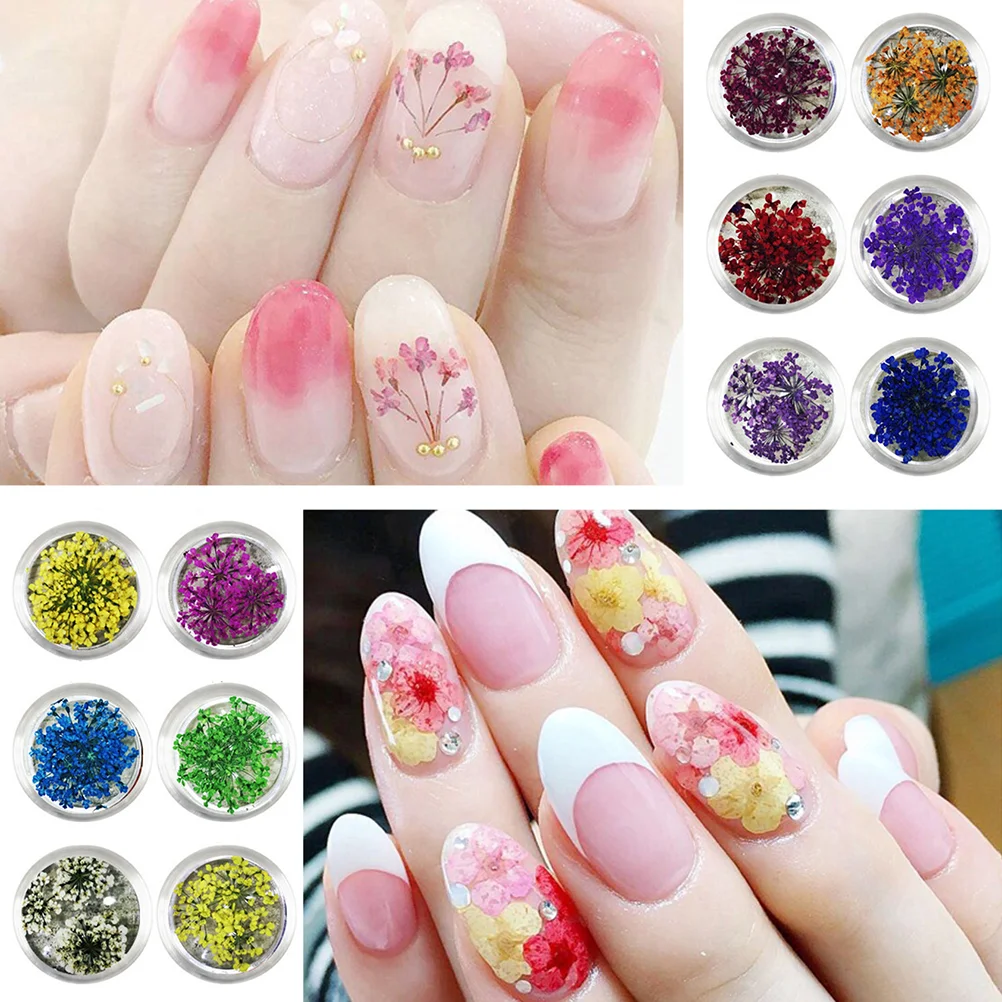 12 Boxes Dry Flowers Dried Flowers Nail Nail Supplies Nail Supplies Dried Flowers Nail 3d Flower Nail
12 Boxes Dry Flowers Dried Flowers Nail Nail Supplies Nail Supplies Dried Flowers Nail 3d Flower Nail