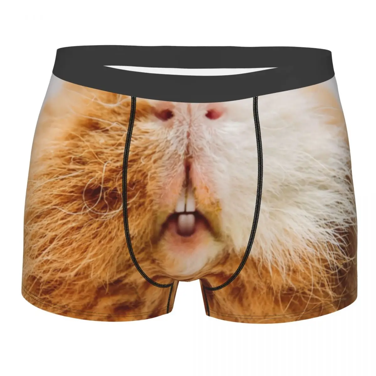 Kawaii Pet Guinea Pig Underwear Men Sexy Printed Custom Animal Boxer Shorts Panties
Kawaii Pet Guinea Pig Underwear Men Sexy Printed Custom Animal Boxer Shorts Panties