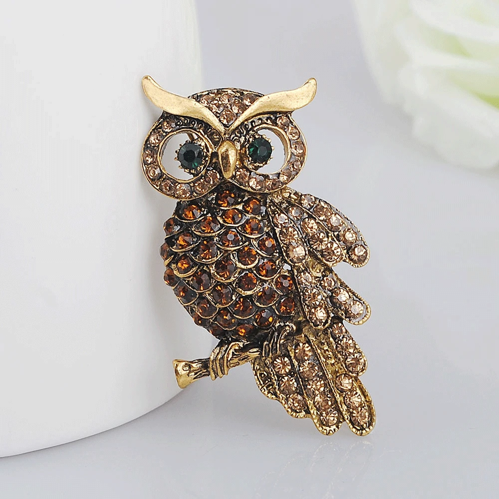 Vintage Owl Brooch Corsage Scarf Clip Antique Gold Crystal Parrot Lapel Pin Fine Jewelry Women Buckles Mother's Day Gift
Vintage Owl Brooch Corsage Scarf Clip Antique Gold Crystal Parrot Lapel Pin Fine Jewelry Women Buckles Mother's Day Gift