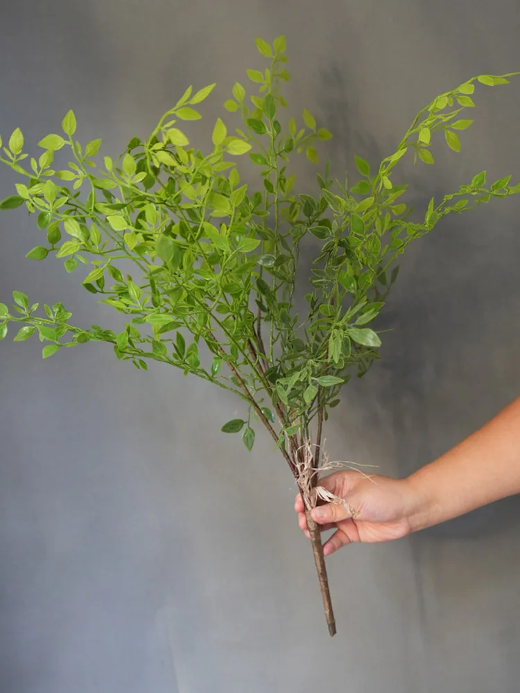 Искусственные ветки папоротника WQNJIN
Искусственные ветки папоротника WQNJIN