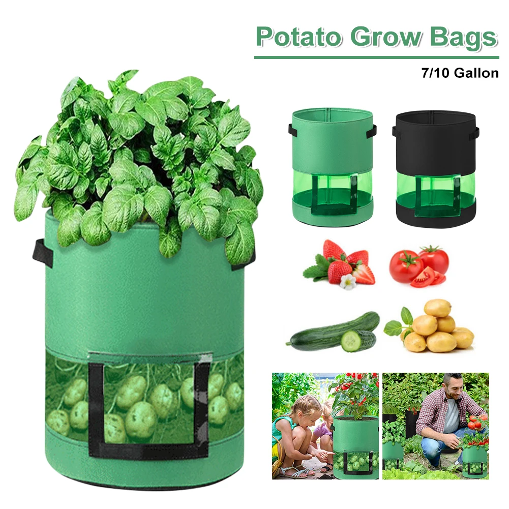 7/10 Gallon Felt Plant Grow Bags Transparent Potato Pot with Handle Seed Vegetabls Onion Carrot Planter Outdoor Garden Tools
7/10 Gallon Felt Plant Grow Bags Transparent Potato Pot with Handle Seed Vegetabls Onion Carrot Planter Outdoor Garden Tools