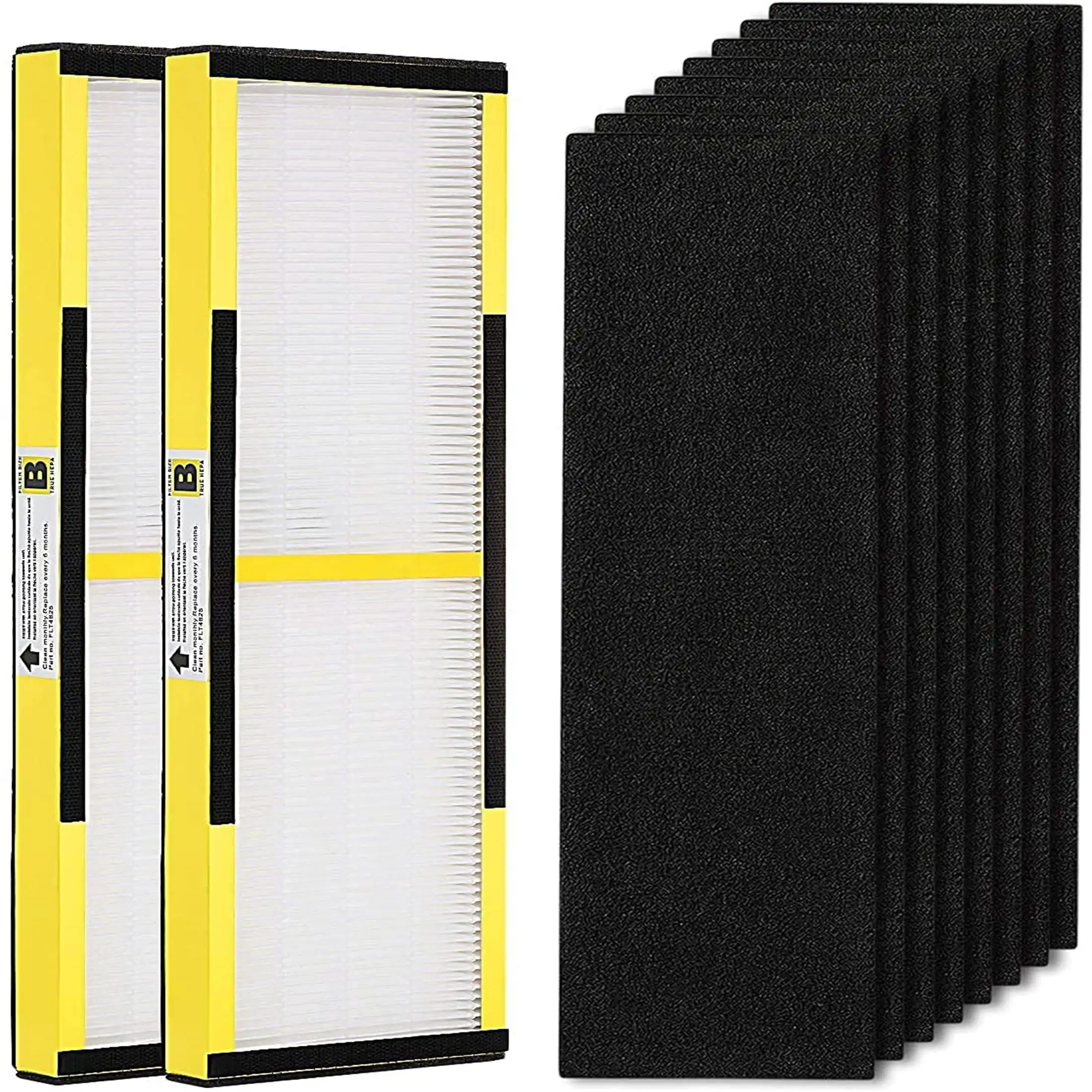 2-Pack FLT4825 True HEPA Filter B Replacement Fit for Guardian Air Purifier AC4825 AC4300 AC4800 AC4900 AC4850 (2 HEPA Filter +
2-Pack FLT4825 True HEPA Filter B Replacement Fit for Guardian Air Purifier AC4825 AC4300 AC4800 AC4900 AC4850 (2 HEPA Filter +