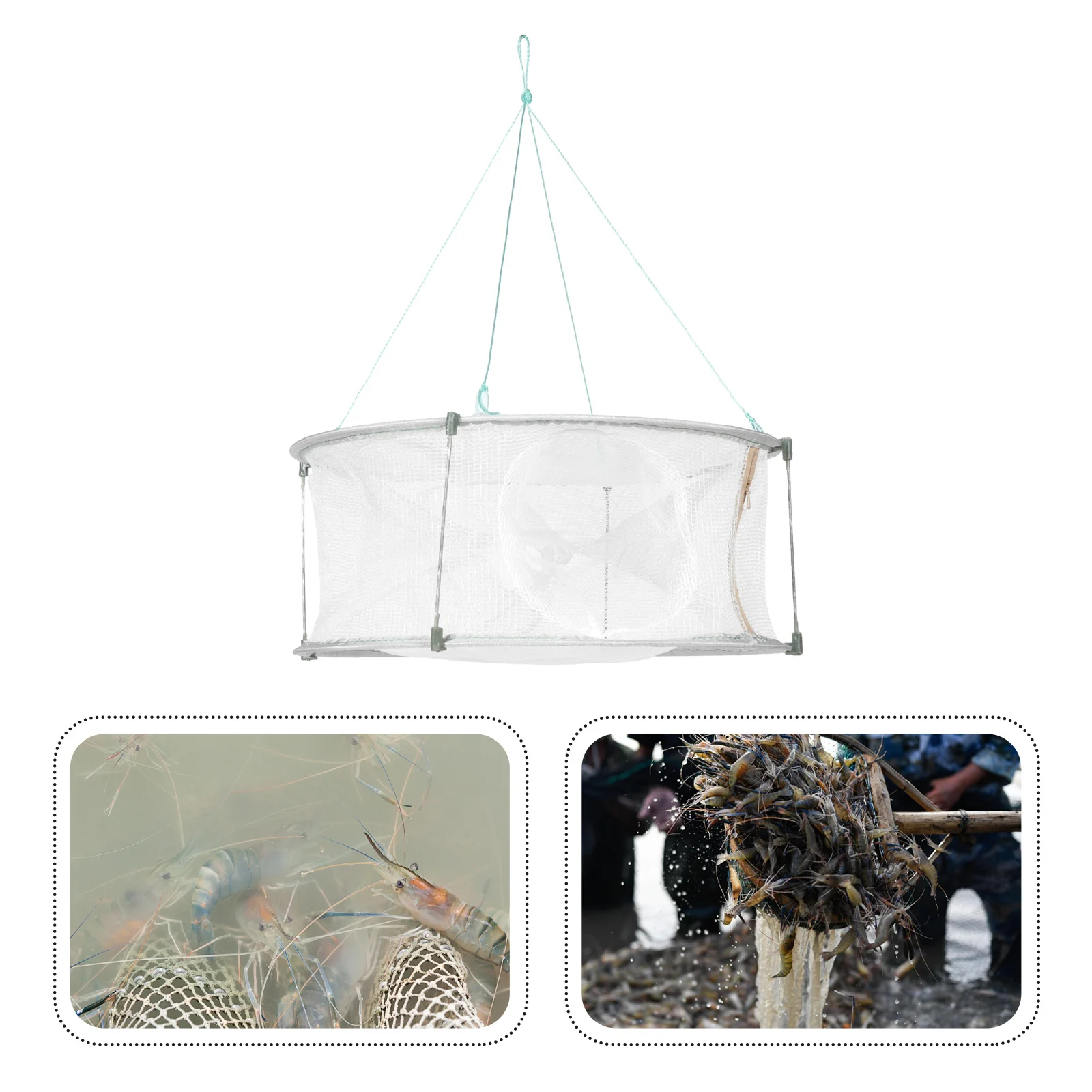 Net Fishing Crab Fish Foldable Traps Bait Cage Crawfish Mesh Blue Hand Casting Collapsible Minnow Ponds Crabs Bluegill Portable
Net Fishing Crab Fish Foldable Traps Bait Cage Crawfish Mesh Blue Hand Casting Collapsible Minnow Ponds Crabs Bluegill Portable