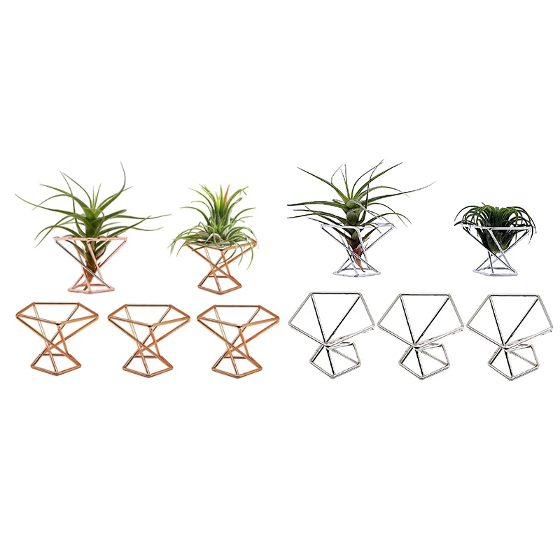 Pack 5 Air Plant Holder Air Plants Holders Tillandsias Display Air Purifying Plant Container Air Fern Stand
Pack 5 Air Plant Holder Air Plants Holders Tillandsias Display Air Purifying Plant Container Air Fern Stand