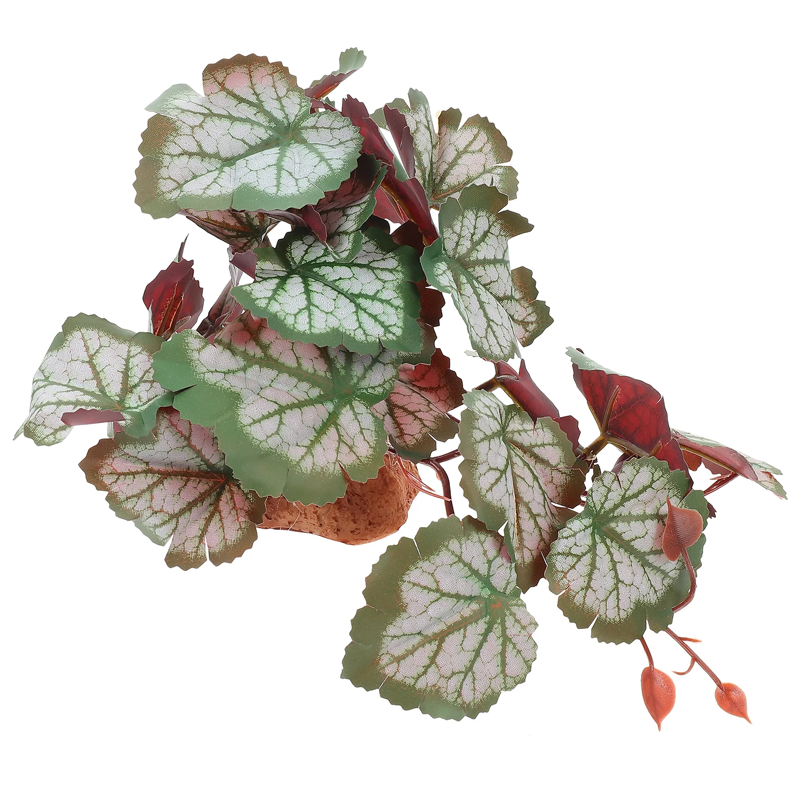 Reptileplant Terrarium Decorartificial Tank Fake Green Reptiles Habitat Accessories Leaves Pant Box Resin Hide Decorations
Reptileplant Terrarium Decorartificial Tank Fake Green Reptiles Habitat Accessories Leaves Pant Box Resin Hide Decorations