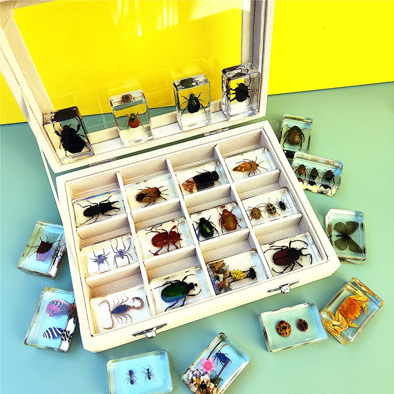 New hot selling real insect resin specimen stag beetle locust crab scarab bee spider teaching collection children's cognition 
New hot selling real insect resin specimen stag beetle locust crab scarab bee spider teaching collection children's cognition
