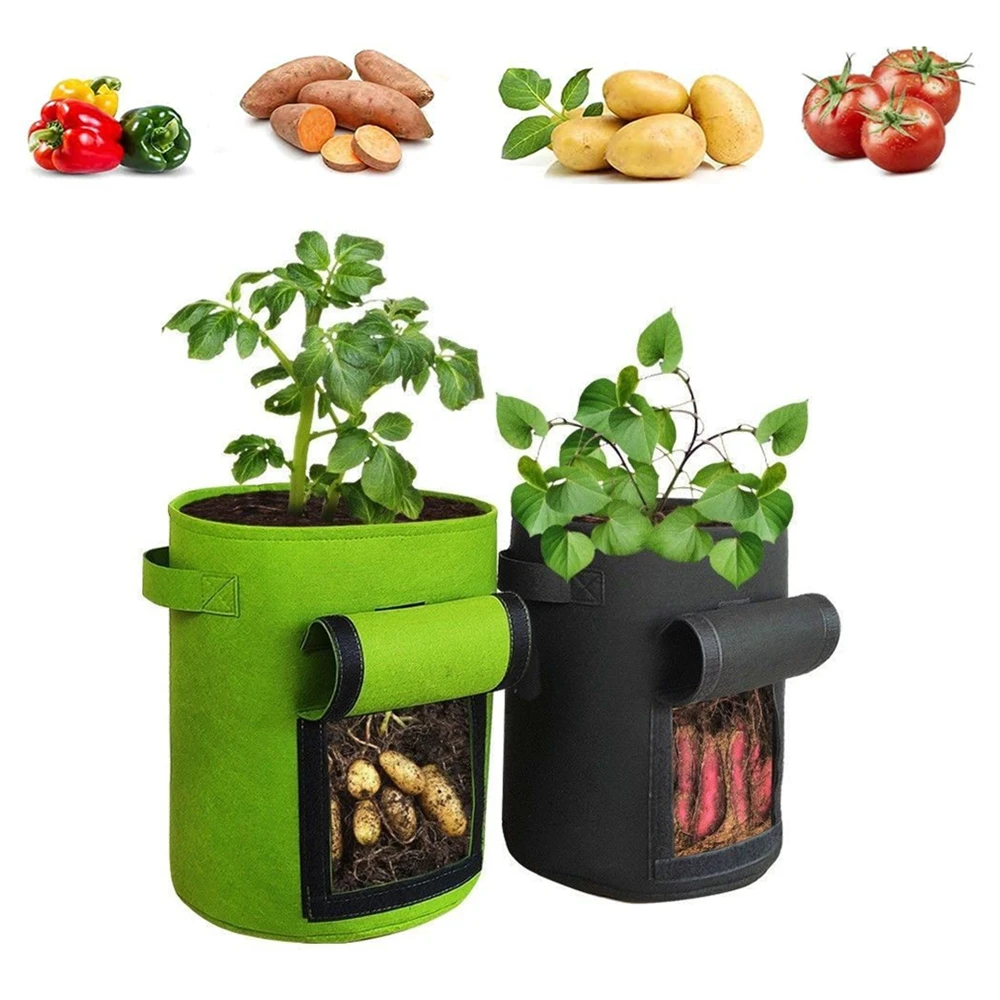 3 Pcs Felt Plant Grow Bags Nonwoven Fabric Garden Potato Pot Greenhouse Vegetable Growing Bags Moisturizing Vertical Tools
3 Pcs Felt Plant Grow Bags Nonwoven Fabric Garden Potato Pot Greenhouse Vegetable Growing Bags Moisturizing Vertical Tools