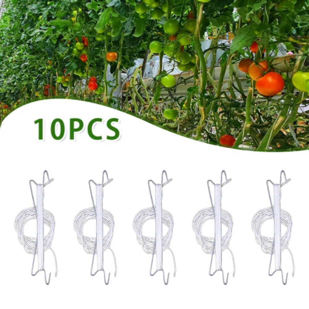 10 Pcs Tomato Hooks Clamps Clips Greenhouse Plant Holder Planting Vegetable Hook Support Clips For Garden Farm Supplies
10 Pcs Tomato Hooks Clamps Clips Greenhouse Plant Holder Planting Vegetable Hook Support Clips For Garden Farm Supplies