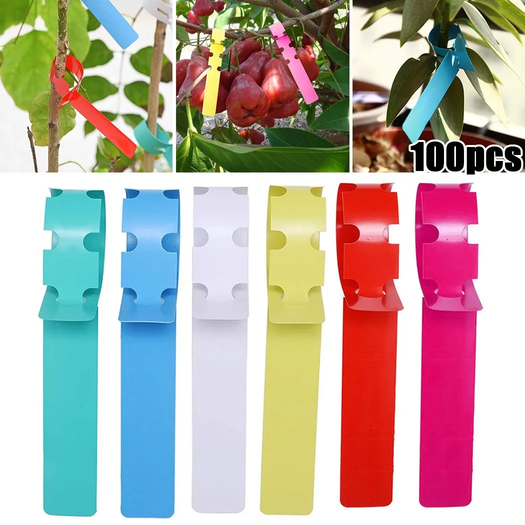 100pcs Garden Labels Plant Markers Plastic Plant Hanging Tags Waterproof Gardening Plant Marker Label Tools
100pcs Garden Labels Plant Markers Plastic Plant Hanging Tags Waterproof Gardening Plant Marker Label Tools