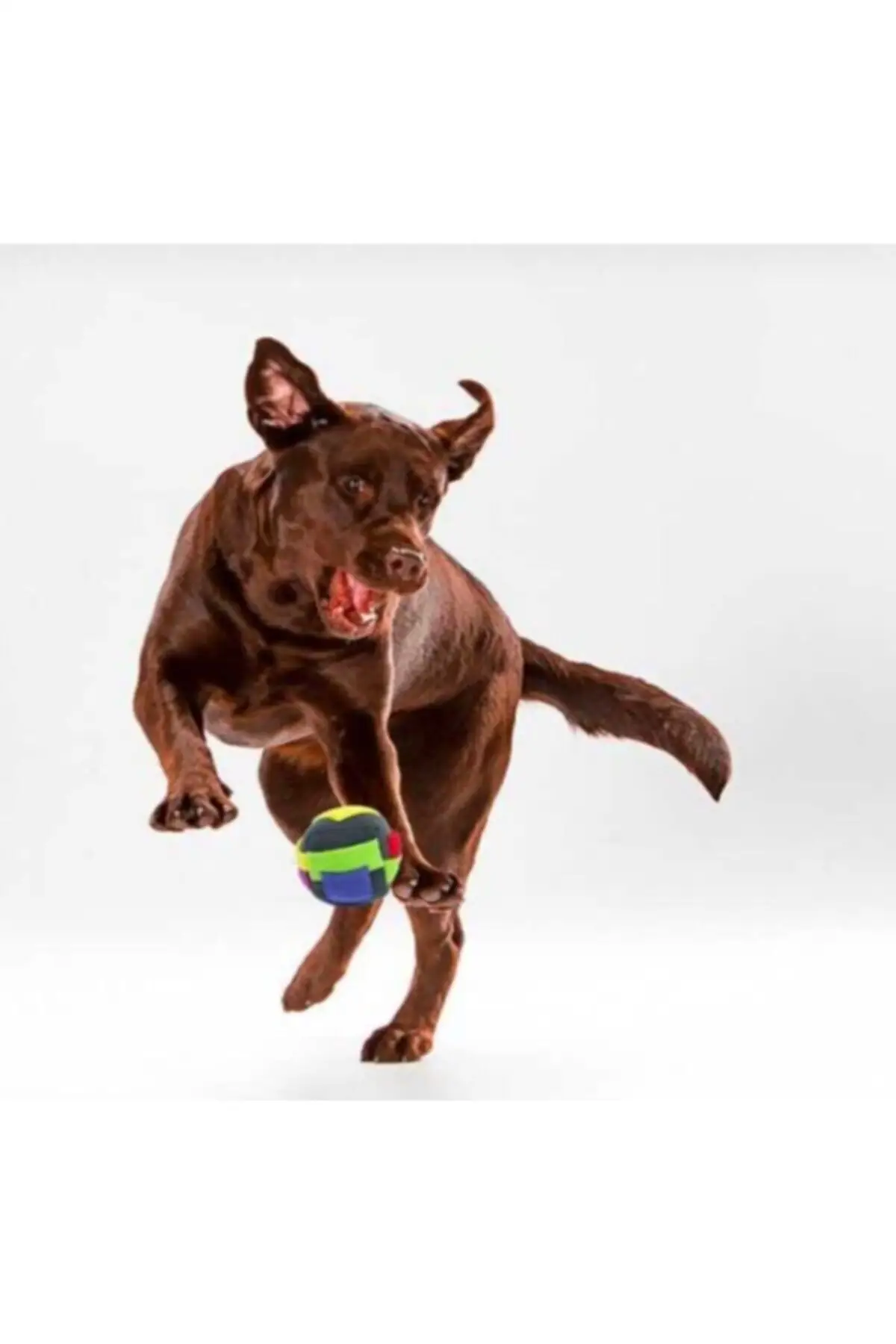 Игрушка-кубик для домашних питомцев, 11x11 см
Игрушка-кубик для домашних питомцев, 11x11 см