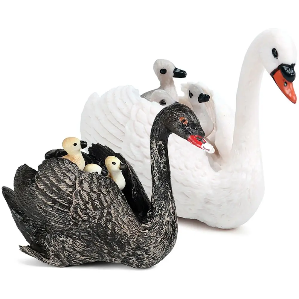 Toys Micro landscape Fairy Garden Early Learning Farm Poultry Figurines Simulation Swan Model Cygnet With Cubs
Toys Micro landscape Fairy Garden Early Learning Farm Poultry Figurines Simulation Swan Model Cygnet With Cubs