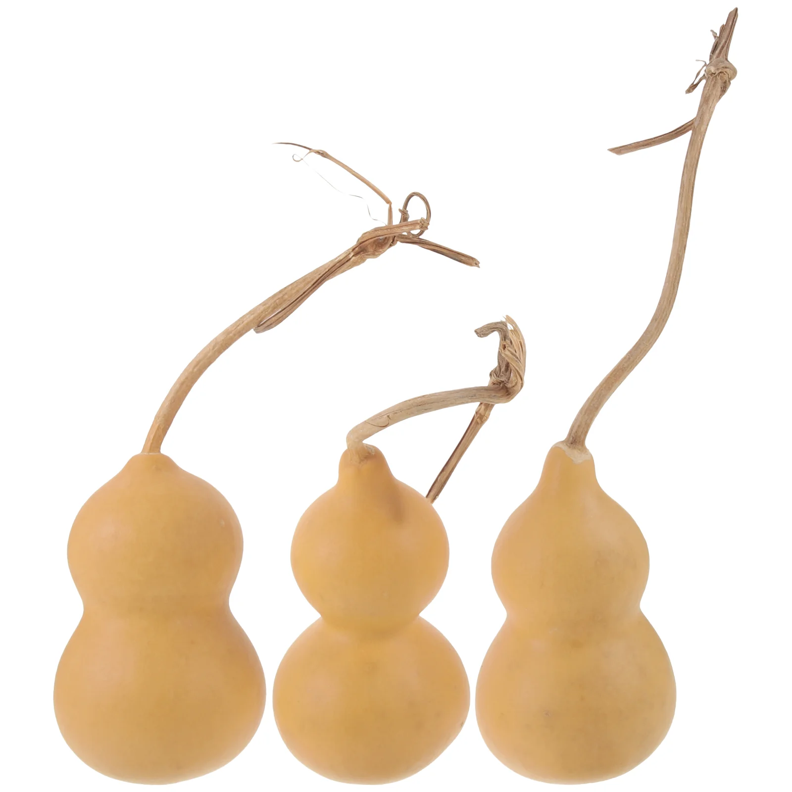 3Pcs Natural Gifts Chinese Natural Dried Gifts Decor For Home Hanging Amulet
3Pcs Natural Gifts Chinese Natural Dried Gifts Decor For Home Hanging Amulet