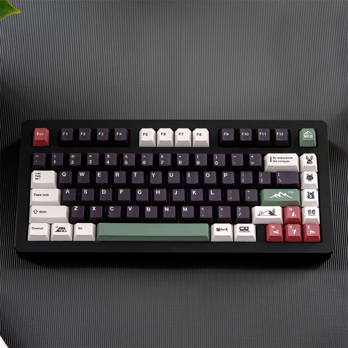 

Keycaps for Mechanical Keyboard,GMK Wild Colorway,Cherry Profile,PBT