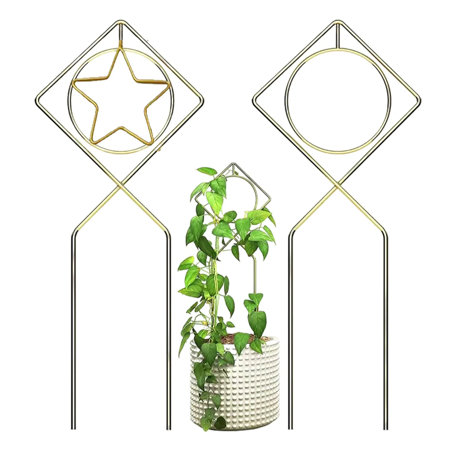 Small Trellis For Potted Plants Metal Garden Climbing Trellis Indoor Potted Plants Climbing Holder Rack Golden Pot Trellis
Small Trellis For Potted Plants Metal Garden Climbing Trellis Indoor Potted Plants Climbing Holder Rack Golden Pot Trellis