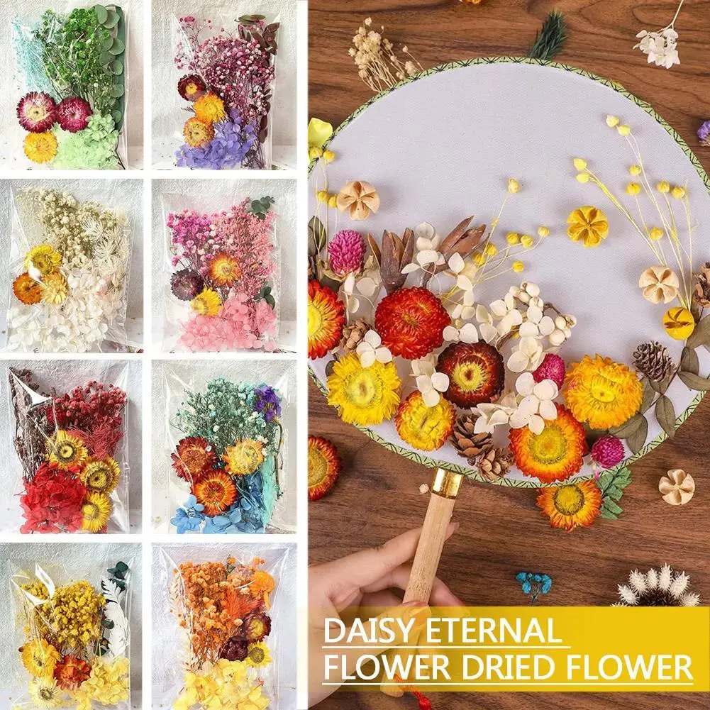 

Неизменный цветок маргаритки, сушеный цветок «сделай сам», композиция для цветов, домашнее свадебное украшение, изготовление подарков для семьи, друзей, ручная работа