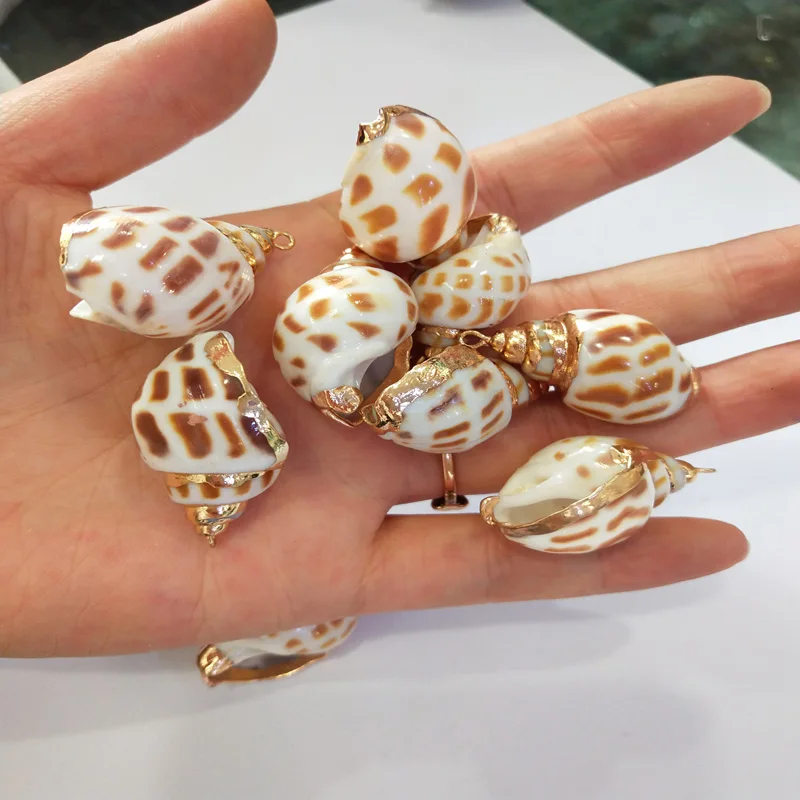 5Pcs Natural Snail Shell Pendant Beads Ornaments Handmade Crafts DIY Fish Tank Decoration Home Decoration Accessories
5Pcs Natural Snail Shell Pendant Beads Ornaments Handmade Crafts DIY Fish Tank Decoration Home Decoration Accessories
