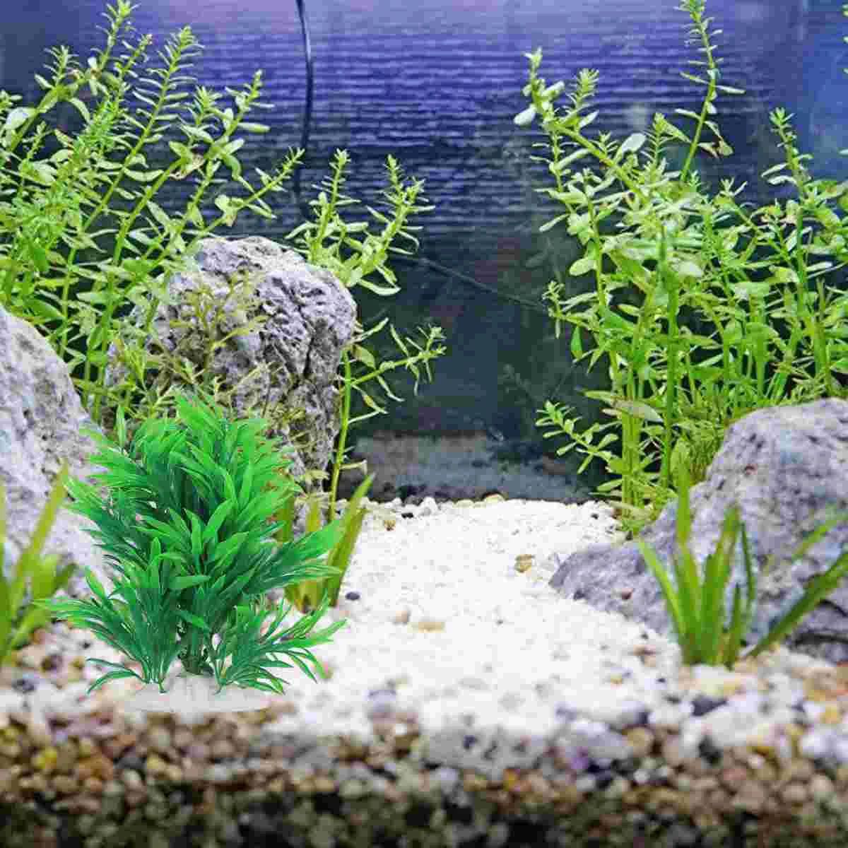 Aquarium Tank Artificial Fake Leaf Landscape Realistic Water Decorations Decor Soft Tall Silk Green Holder Décor Pond Aquatic
Aquarium Tank Artificial Fake Leaf Landscape Realistic Water Decorations Decor Soft Tall Silk Green Holder Décor Pond Aquatic