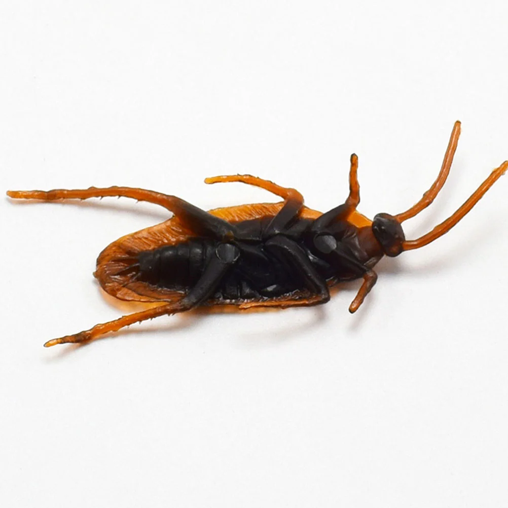 Horrific Cockroach Model Fake Bugs Halloween Joke Toys Tricky Props Party Playthings
Horrific Cockroach Model Fake Bugs Halloween Joke Toys Tricky Props Party Playthings