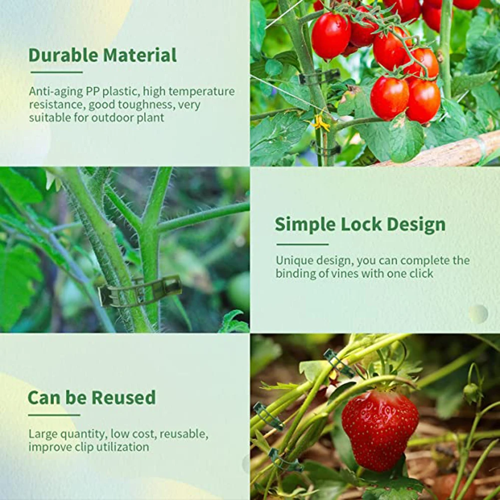 100x Plant Clips Buckle Hook Ties Trellis Stake Garden Plant Support Clips Gardening Supplies Veggie Garden Tools For Veggie
100x Plant Clips Buckle Hook Ties Trellis Stake Garden Plant Support Clips Gardening Supplies Veggie Garden Tools For Veggie