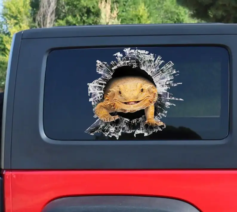 Yellow bearded dragon window sticker, car sticker, beardie car decal, funny decal
Yellow bearded dragon window sticker, car sticker, beardie car decal, funny decal