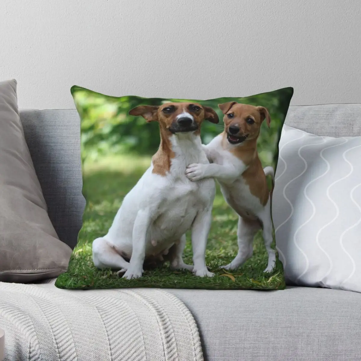 Something To Make You Smile Square Pillowcase Polyester Linen Velvet Pattern Zip Decorative Pillow Case Sofa Cushion Cover
Something To Make You Smile Square Pillowcase Polyester Linen Velvet Pattern Zip Decorative Pillow Case Sofa Cushion Cover