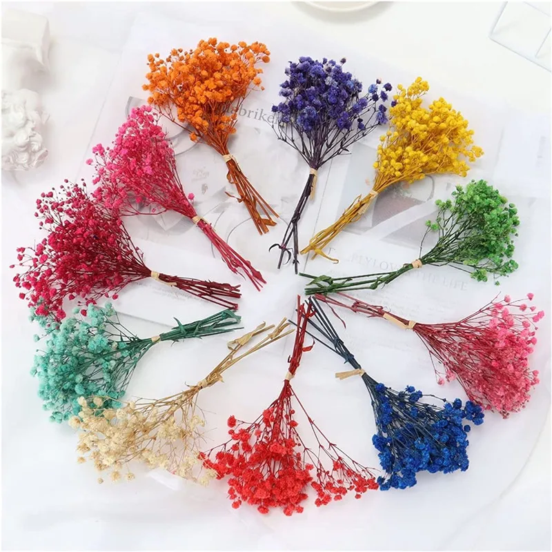 Natural Dried Bouquets Fresh Dried Preserved Flowers Small Natural Dried Flowers Bouquet Dry Flowers Press Home Wedding Decor
Natural Dried Bouquets Fresh Dried Preserved Flowers Small Natural Dried Flowers Bouquet Dry Flowers Press Home Wedding Decor