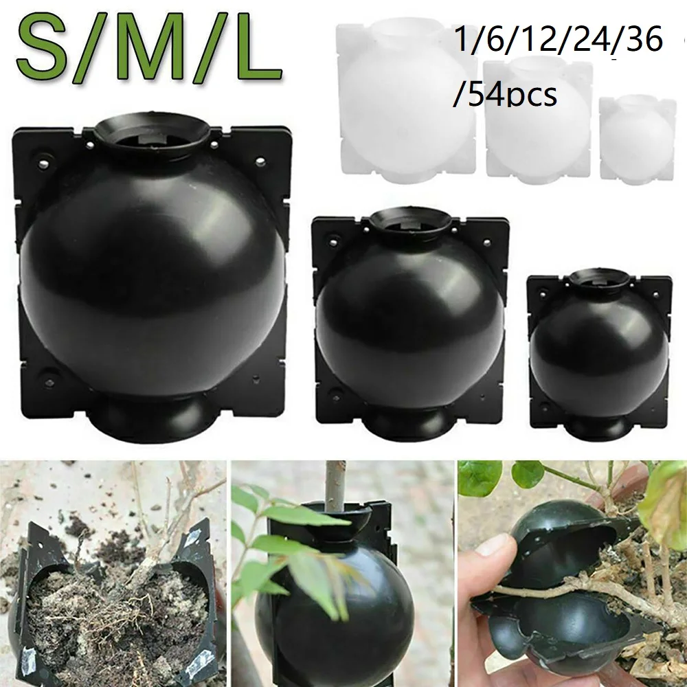 Plant Root Growing Box Cutting Grafting Rooting Box Garden Plant Rooting Propagation Ball Breeding Equipment Seeding Graft Case
Plant Root Growing Box Cutting Grafting Rooting Box Garden Plant Rooting Propagation Ball Breeding Equipment Seeding Graft Case