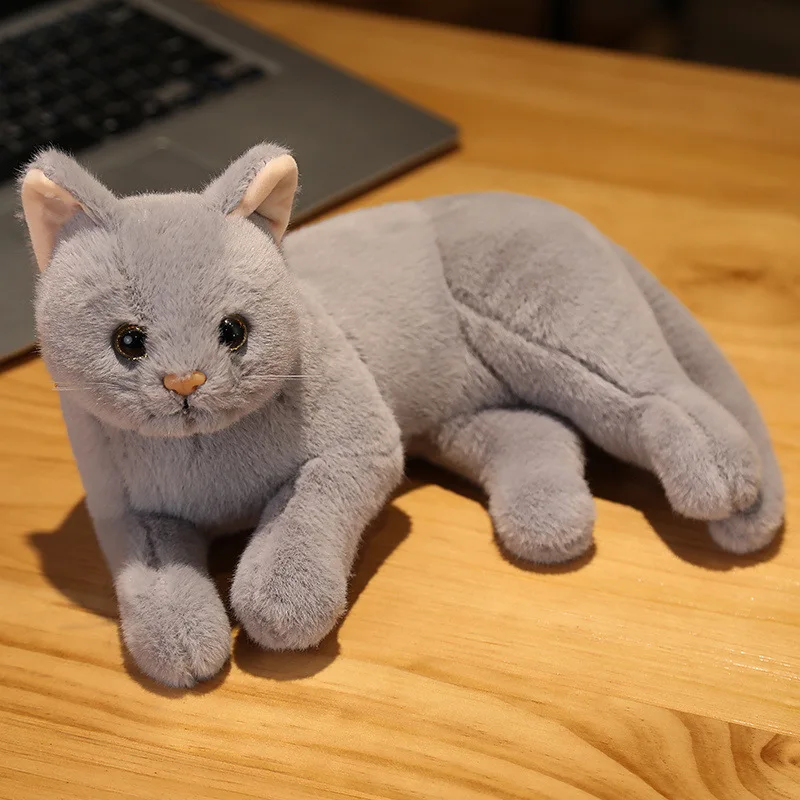 Zqswkl 30cm 3D simulation cat doll cute plush toy home decoration girl doll doll funny children's birthday gift
Zqswkl 30cm 3D simulation cat doll cute plush toy home decoration girl doll doll funny children's birthday gift