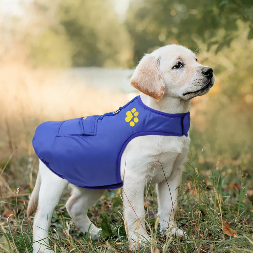 Pet Puppy Jacket Clothing Vest Pocket Double-Sided Wearable Autumn Winter Chihuahua Pug Jacket for Small Medium Dogs Labrador
Pet Puppy Jacket Clothing Vest Pocket Double-Sided Wearable Autumn Winter Chihuahua Pug Jacket for Small Medium Dogs Labrador