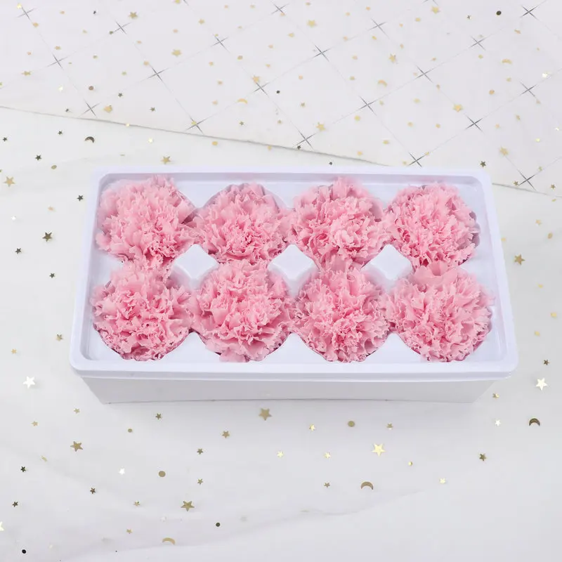 8Pcs Dried Flower Mothers Day Gift Box Flower Preserved Flower Head Carnation Decorative for Mother Dried Flower Dry Plants gift
8Pcs Dried Flower Mothers Day Gift Box Flower Preserved Flower Head Carnation Decorative for Mother Dried Flower Dry Plants gift