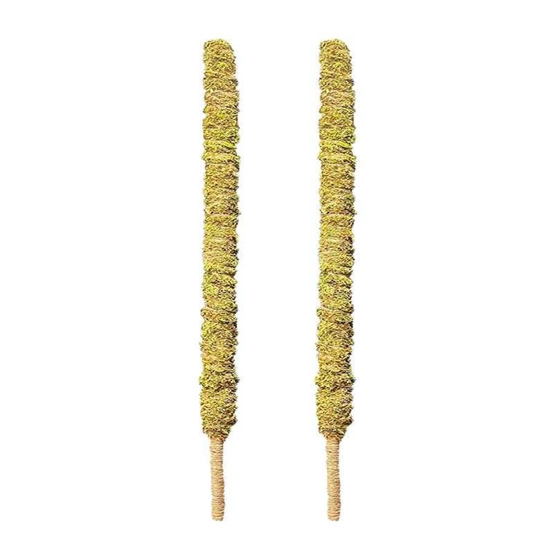 2 Pack 25 Inch Real Moss Pole For Monstera Bendable Plant Stakes, Sphagnum Handmade Slim Forest Moss Stick Plant Support
2 Pack 25 Inch Real Moss Pole For Monstera Bendable Plant Stakes, Sphagnum Handmade Slim Forest Moss Stick Plant Support