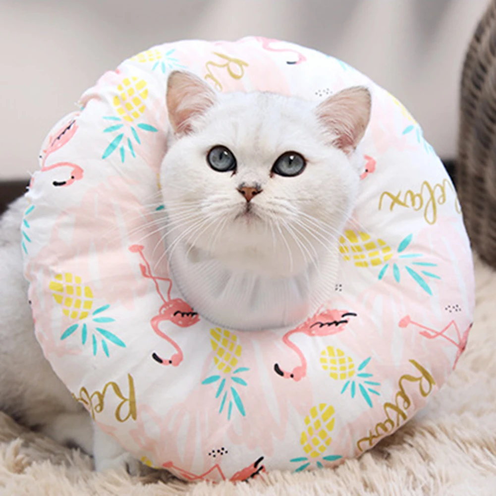 Pet Cat Elizabethan Collar 8cm Diameter Alternative E Collar Ideal For Post-Surgery Recovery Injury Prevention
Pet Cat Elizabethan Collar 8cm Diameter Alternative E Collar Ideal For Post-Surgery Recovery Injury Prevention