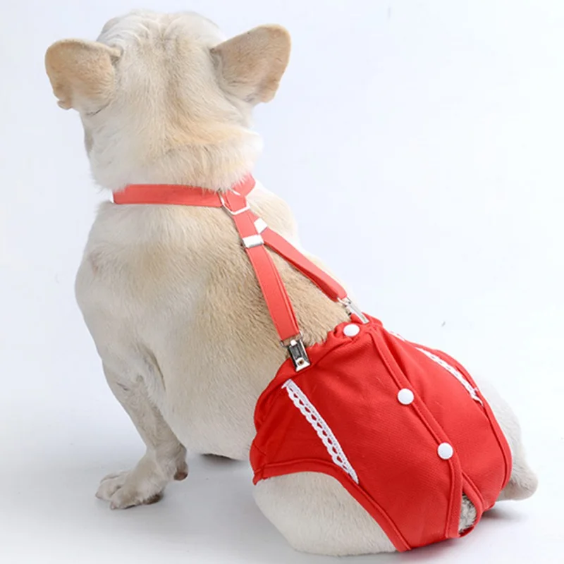 Pet Physiological Pants Dot Female Dog Sanitary Panties Shorts Underwear Sanitary Diaper Washable Shorts Pet Supplies
Pet Physiological Pants Dot Female Dog Sanitary Panties Shorts Underwear Sanitary Diaper Washable Shorts Pet Supplies