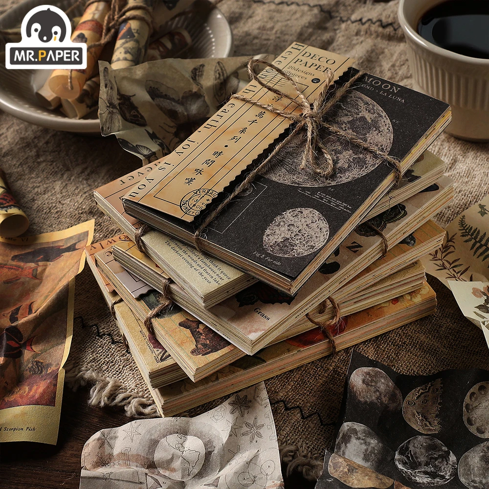 Mr.paper 6 Styles 60pcs/bag Vintage Animal Card Stocks Paper Literary Aesthetic Butterfly Hand Account Decorative Material Paper
Mr.paper 6 Styles 60pcs/bag Vintage Animal Card Stocks Paper Literary Aesthetic Butterfly Hand Account Decorative Material Paper