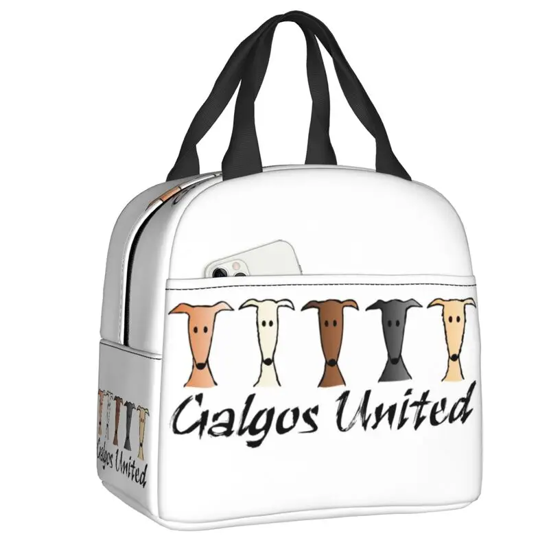 Galgos United Greyhound Resuable Lunch Boxes for Women Sighthound Whippet Dog Cooler Thermal Food Insulated Lunch Bag School
Galgos United Greyhound Resuable Lunch Boxes for Women Sighthound Whippet Dog Cooler Thermal Food Insulated Lunch Bag School