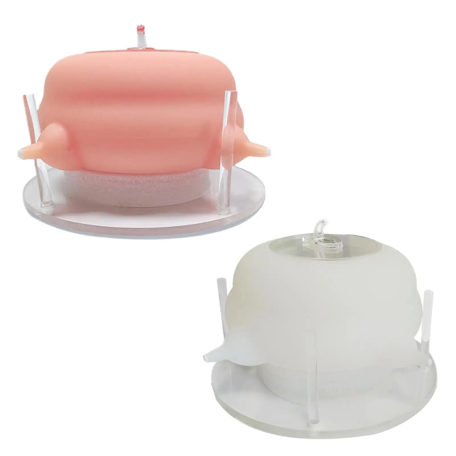 4 Nipples puppy ,feed Bowl New Born Rabbit Portable Feeding Device Whelping Nursing Station
4 Nipples puppy ,feed Bowl New Born Rabbit Portable Feeding Device Whelping Nursing Station