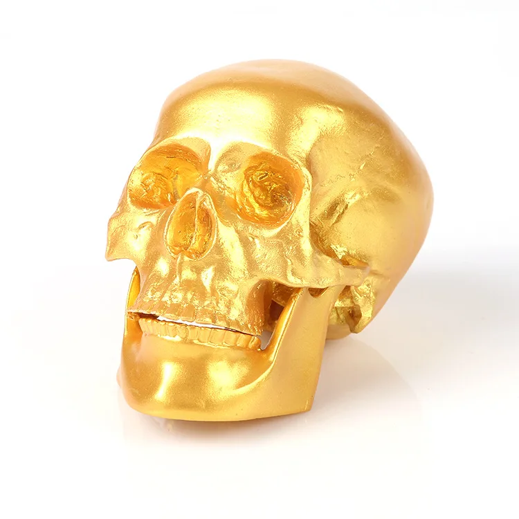 Creative Skeleton Skull Head Home Decoration Halloween Props Resin Crafts Scene Layout Gift Decoration 
Creative Skeleton Skull Head Home Decoration Halloween Props Resin Crafts Scene Layout Gift Decoration