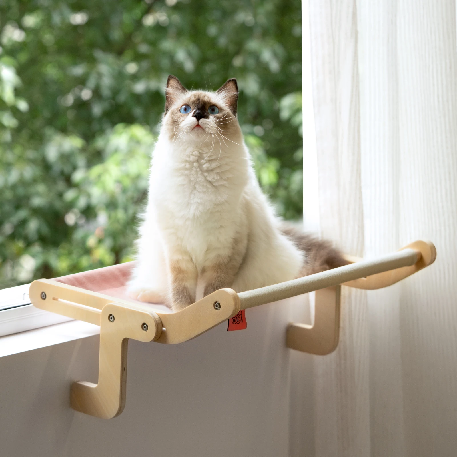 Sturdy Cat Window Perch Wooden Assembly Hanging Bed Cotton Canvas Easy Washable Multi-Ply Plywood Hammock Dropshipping
Sturdy Cat Window Perch Wooden Assembly Hanging Bed Cotton Canvas Easy Washable Multi-Ply Plywood Hammock Dropshipping