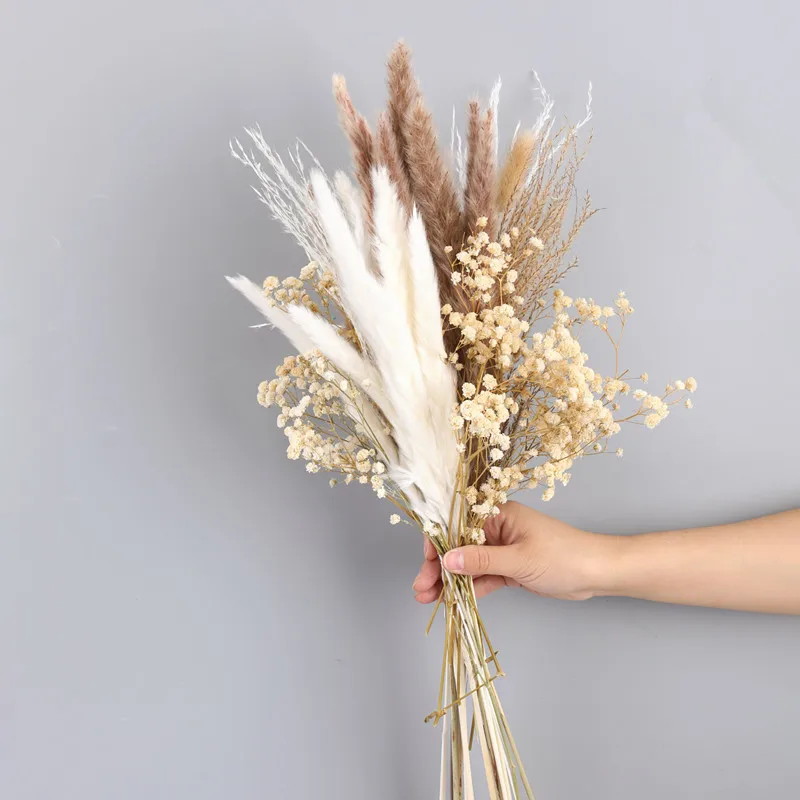 Natural Reed Pampas Grass Dried Flower Palm Plant Tree Leaves Home Garden Wedding Party Living Bedroom Table Decoration
Natural Reed Pampas Grass Dried Flower Palm Plant Tree Leaves Home Garden Wedding Party Living Bedroom Table Decoration