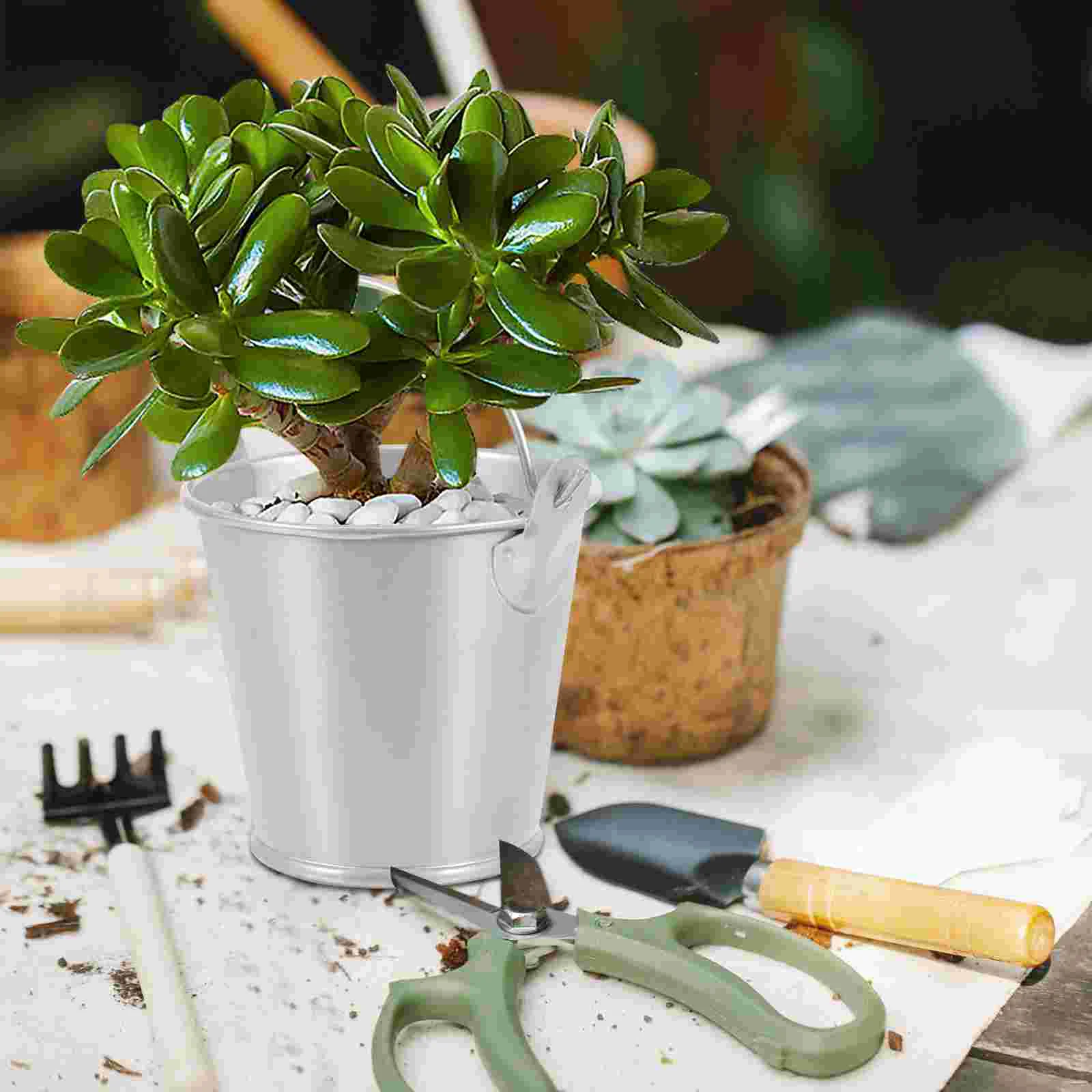 Flower Vases Botanical Decor Flower Buckets Handles Garden Decor Front Porch Planter Metal Flower Bucket Outdoor Flower Planters
Flower Vases Botanical Decor Flower Buckets Handles Garden Decor Front Porch Planter Metal Flower Bucket Outdoor Flower Planters