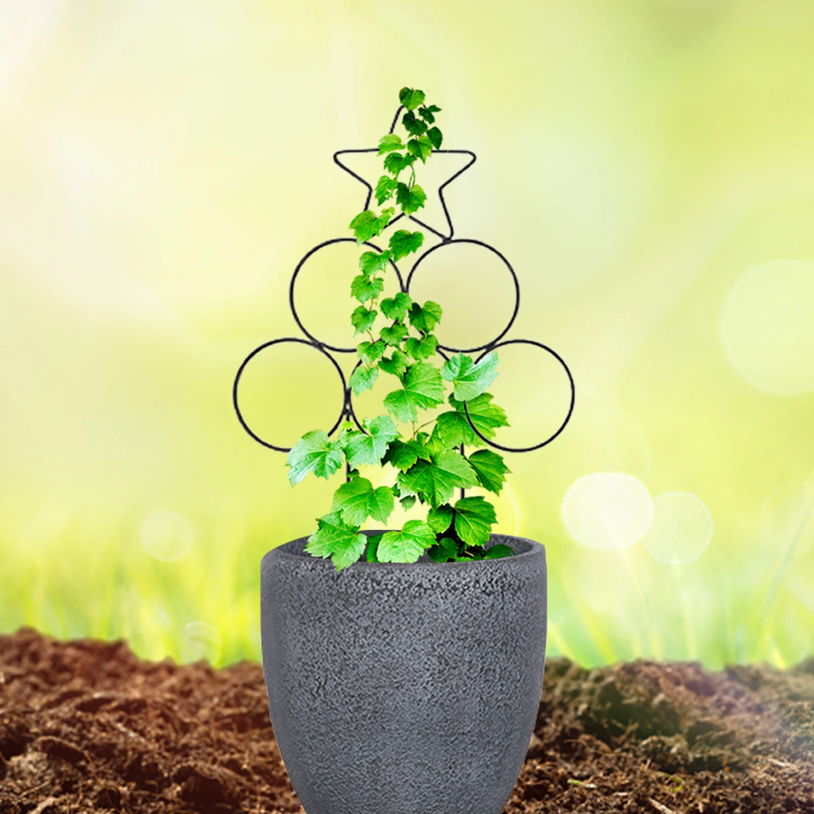 Plant Frame Flower Stand Climbing Vine Rack Plant Potted Support Frame Iron Flower Vegetables Decorative Trellis Bracket
Plant Frame Flower Stand Climbing Vine Rack Plant Potted Support Frame Iron Flower Vegetables Decorative Trellis Bracket