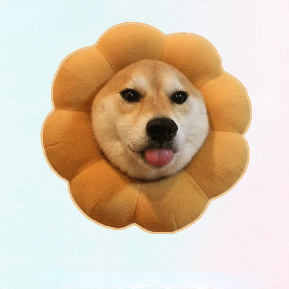 Ins pet cat kitten Shiba Inu pet dog around creative three-dimensional practical lazy bracket for iPhone Huawei Xiaomi Samsung
Ins pet cat kitten Shiba Inu pet dog around creative three-dimensional practical lazy bracket for iPhone Huawei Xiaomi Samsung