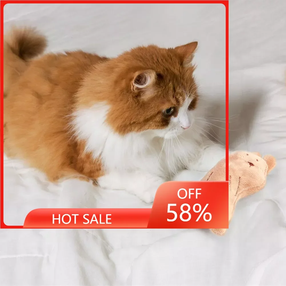 Traning Dogs Agility Toys Supplies Funny Cat Toys Lovely Plush Animal Mint Kitten Teaser Playing Interactive Toy Pet Suppies
Traning Dogs Agility Toys Supplies Funny Cat Toys Lovely Plush Animal Mint Kitten Teaser Playing Interactive Toy Pet Suppies