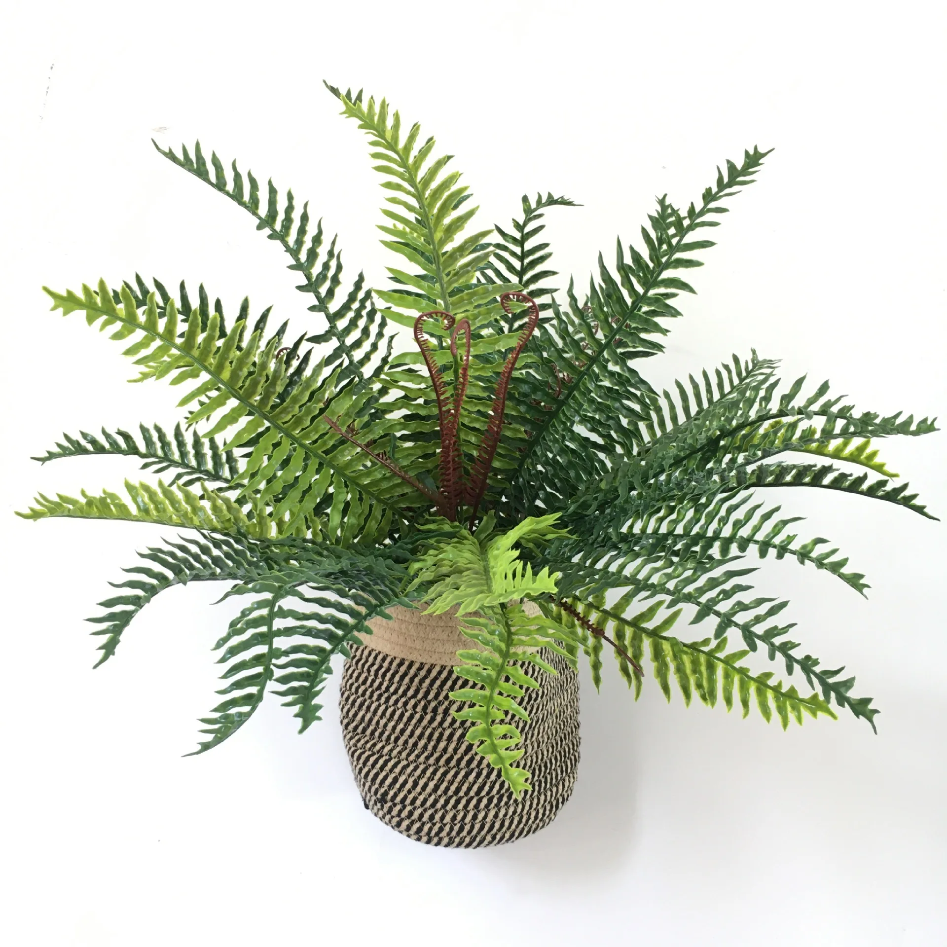 1pc Artificial Plant Simulated Plants Persian Fern Wall Flower Art Centipede Grass Garden Project Fake Green Home Decoration 
1pc Artificial Plant Simulated Plants Persian Fern Wall Flower Art Centipede Grass Garden Project Fake Green Home Decoration