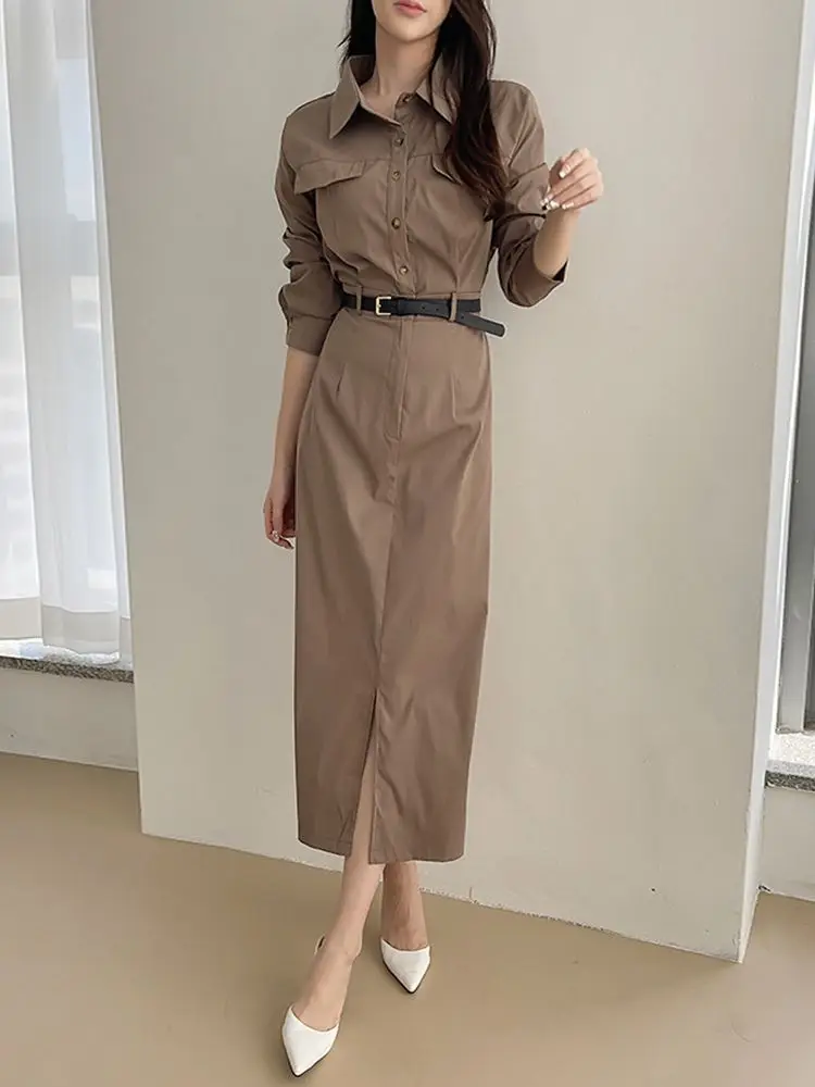 Women Spring New Casual Shirt Dress With Belt Autumn Long Sleeve Single-Breasted Female Clothes Vestidos
Women Spring New Casual Shirt Dress With Belt Autumn Long Sleeve Single-Breasted Female Clothes Vestidos